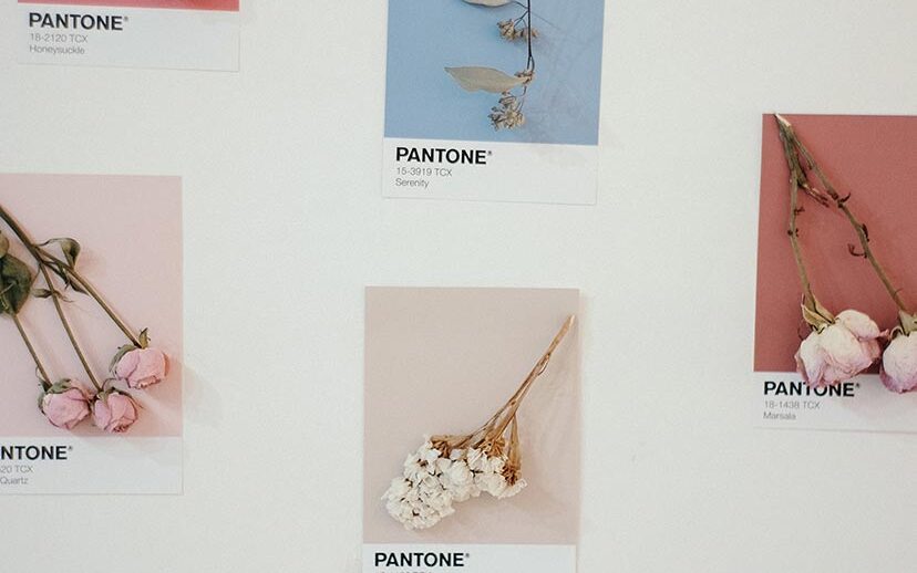В чем загадка цвета года Pantone?
