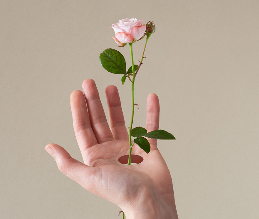 Роза и квест: 8 необычных ароматов с розой