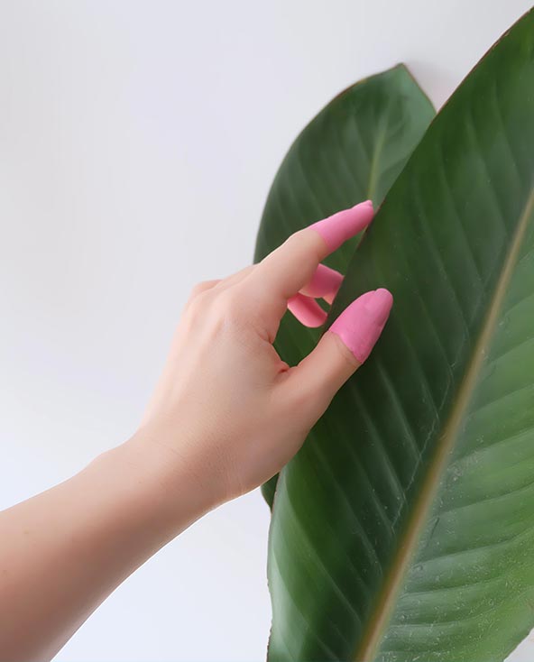 Ия Киселева | Flacon