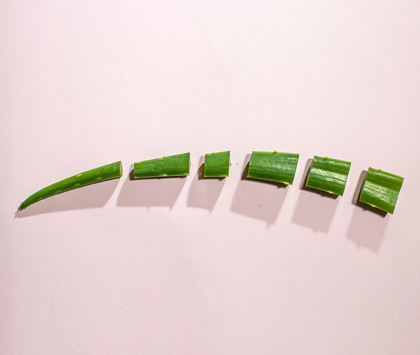 4 способа избавиться от укуса комара